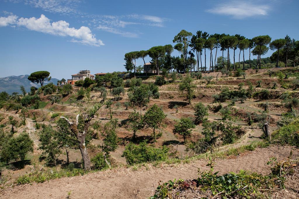 Agriturismo La Molara Sessa Aurunca Buitenkant foto