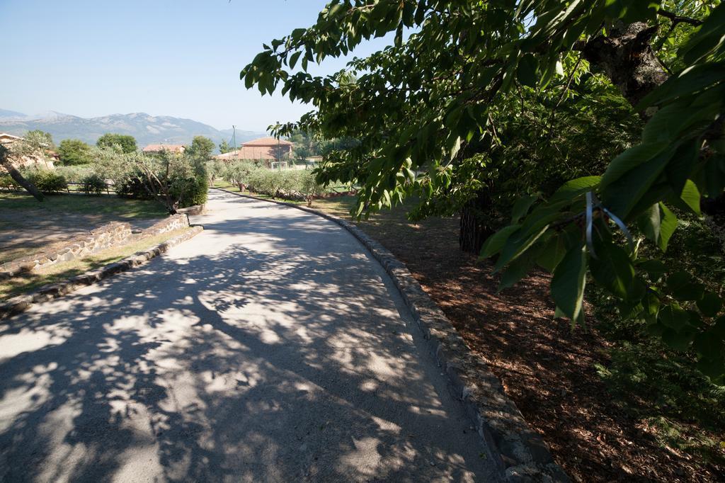 Agriturismo La Molara Sessa Aurunca Buitenkant foto